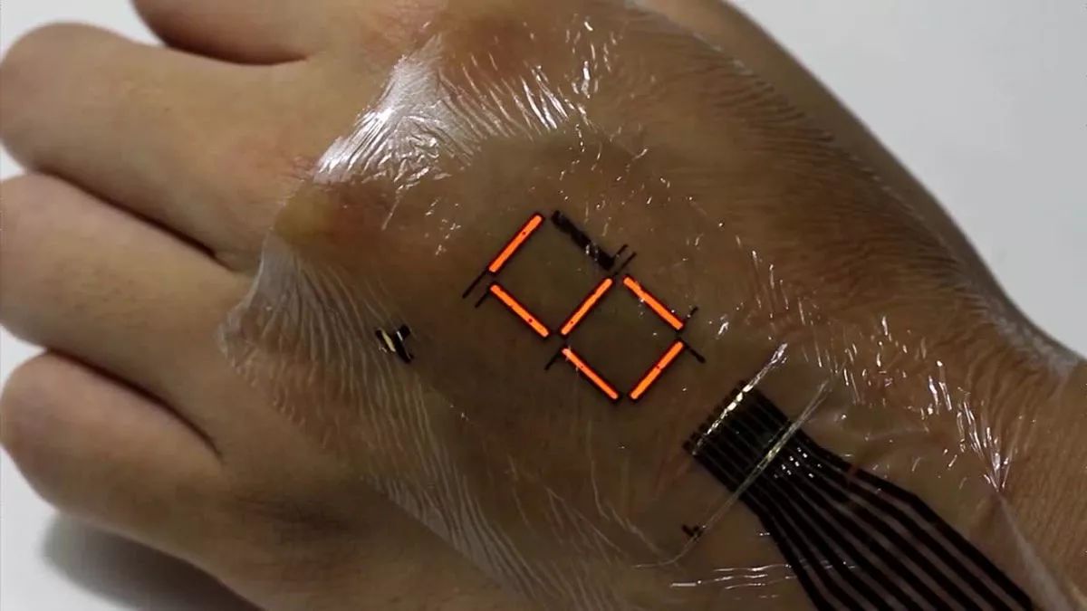 她曾深陷“诺奖级”学术丑闻，潜心耕耘靠人造皮肤爬回巅峰