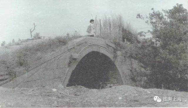 记忆上海昔日的南市,记忆上海文庙