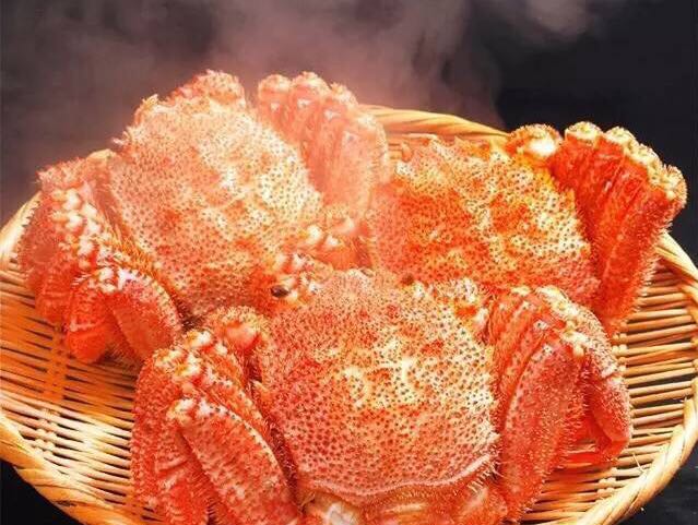 螃蟹的世界旅行,螃蟹的世界深度解析