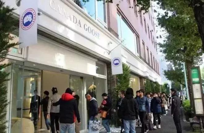 代购们要哭了！可大鹅的真爱粉们赶快偷着乐吧