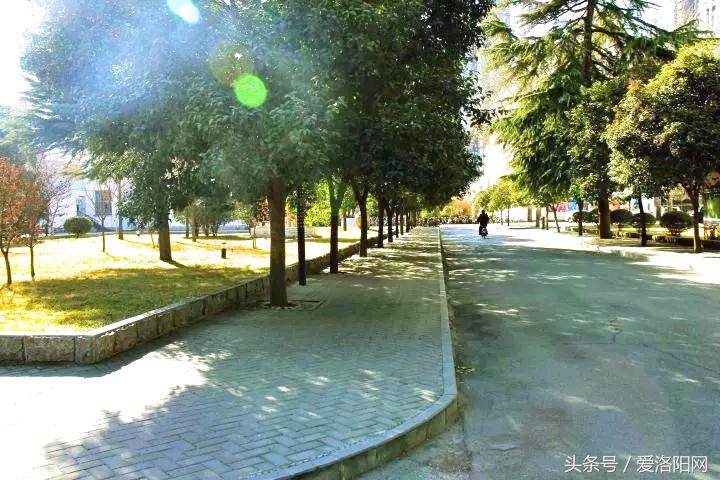 再见原作,再见渡边淳一