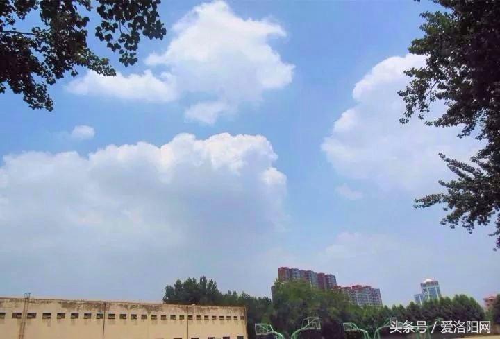 再见原作,再见渡边淳一