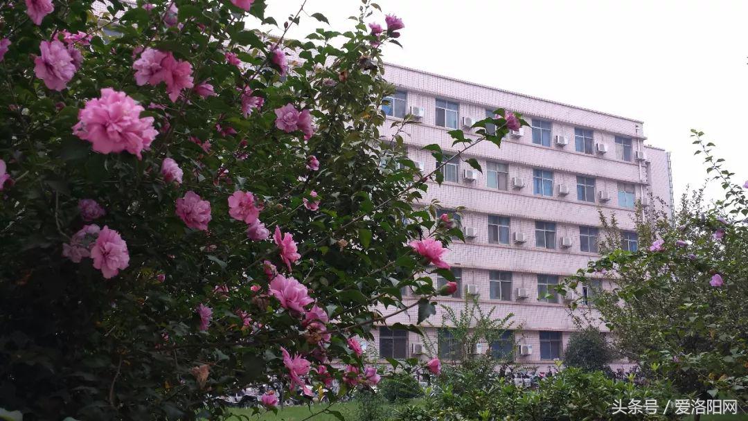 再见原作,再见渡边淳一