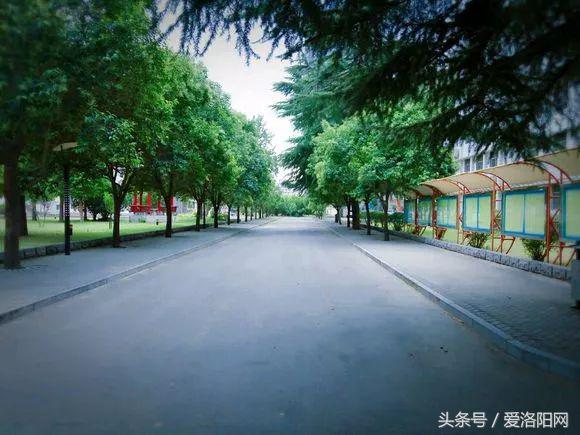 再见原作,再见渡边淳一