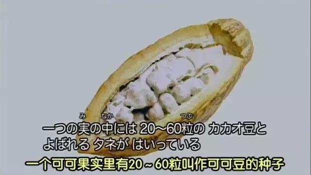 巧克力制作过程视频工厂,巧克力的制作过程视频