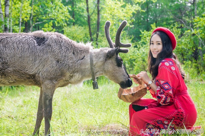 漠河到呼伦贝尔包车攻略,呼伦贝尔漠河环线自由行