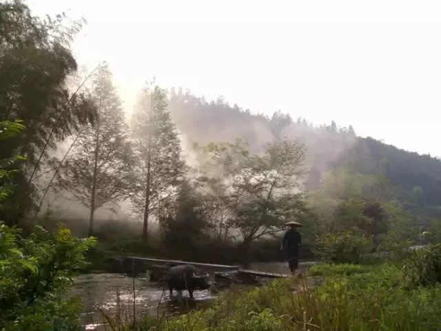 妗冩簮灏忎紬鏅偣,妗冩簮灞变笜