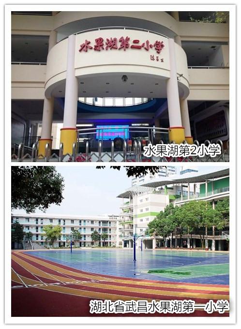 独得汉街沙湖恩宠，身价没有个千万元买不起？
