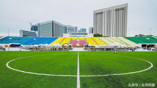 足球世界杯很难吗,世界杯足球场地是真草吗