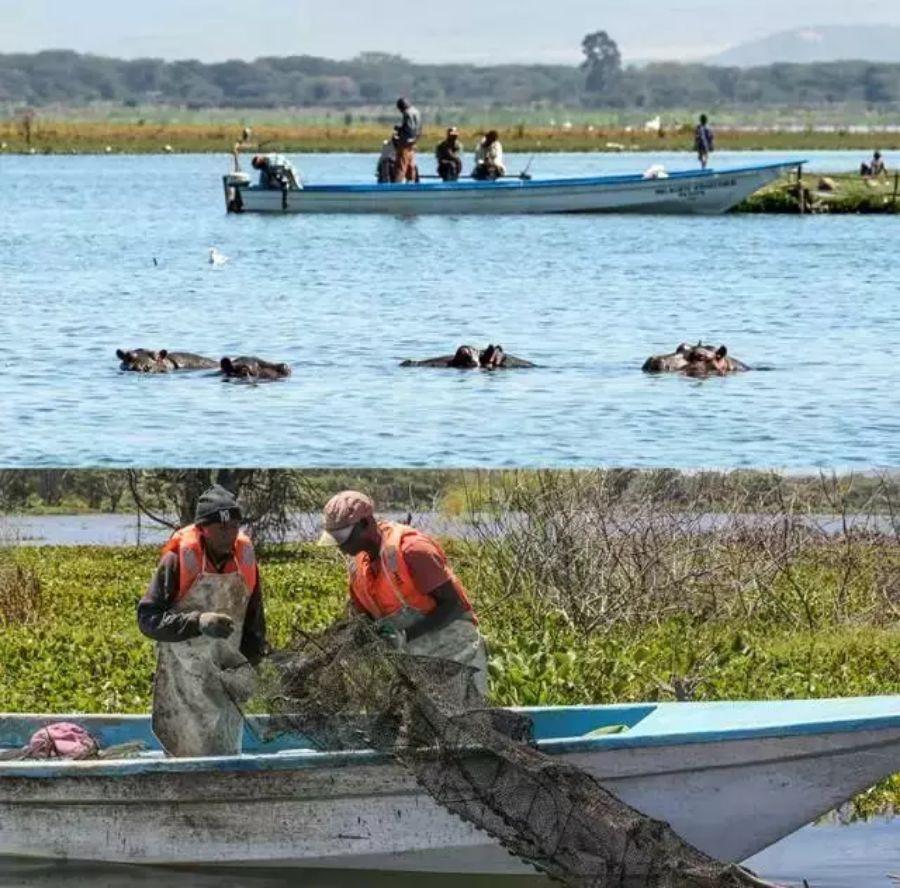 边吃宵夜边看世界杯,边吃烧烤边看球赛成都