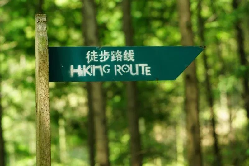 莫干山萤火虫基地住宿,莫干山云起萤光水森林萤火虫基地