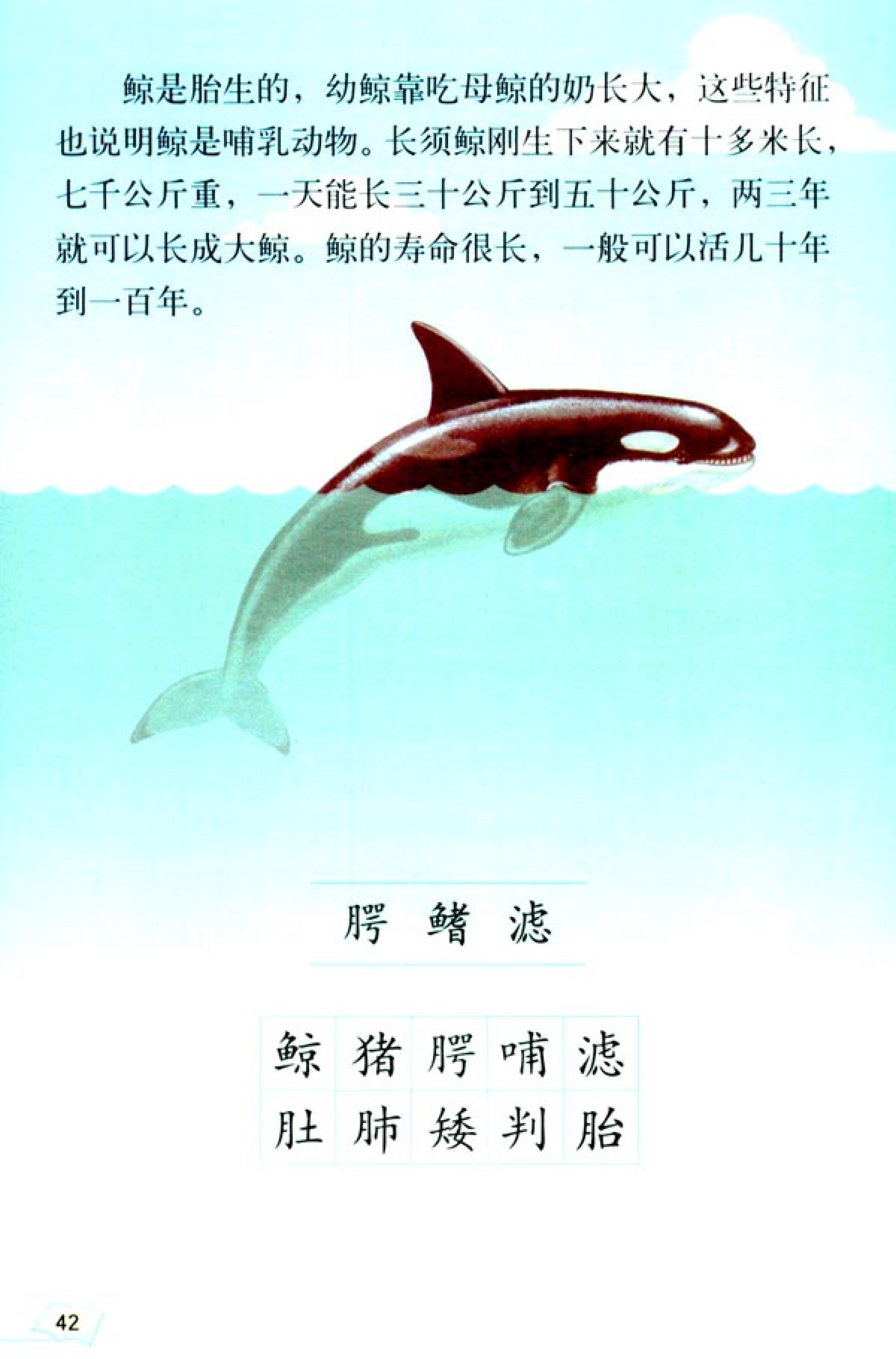 五年级上册语文课本电子版第21课,2021年人教版五年级上册语文课本