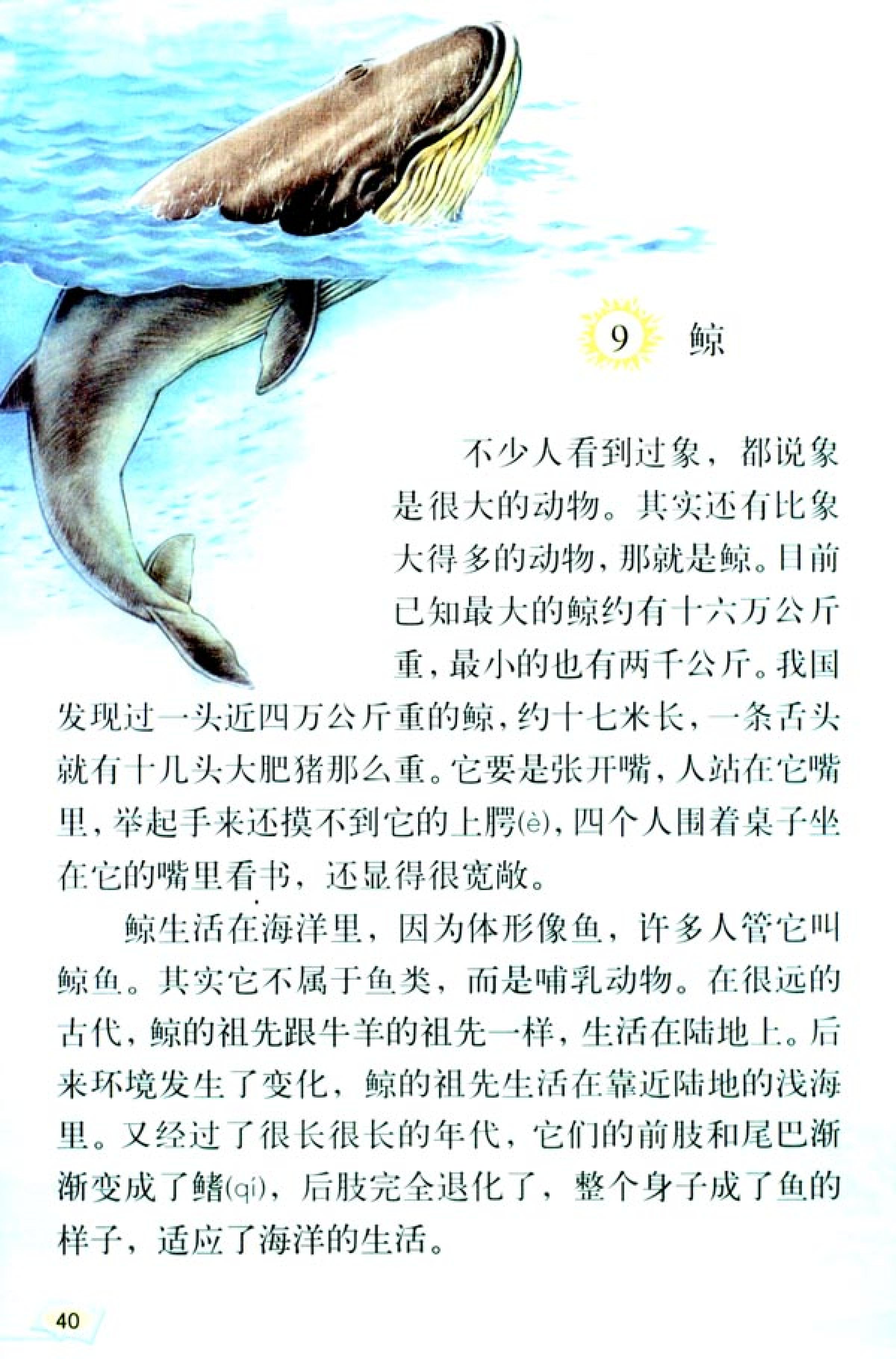 五年级上册语文课本电子版第21课,2021年人教版五年级上册语文课本