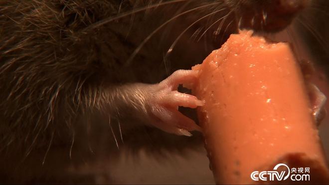 大学毕业干啥能赚百万