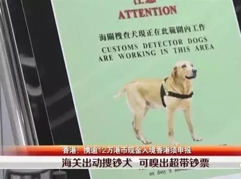 常德去深圳新规定,常德有首次违法免罚吗