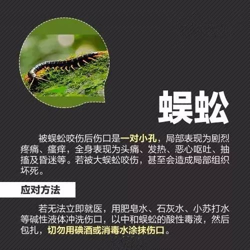 螨虫的三大罪状导致宝宝感染疾病,小孩出现这几种症状说明螨虫成堆
