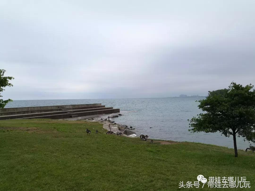 芝加哥夏季游玩攻略,芝加哥夏天游玩攻略