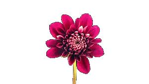 爆款福利！你绝对猜不到！2018世界杯最大赢家出炉！