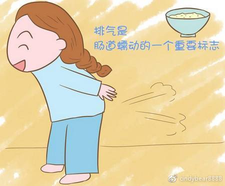 动画演示子宫全切术,动画演示切子宫手术