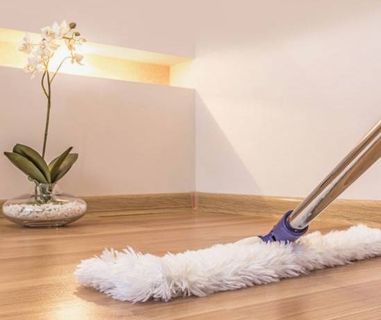 白糖加洗衣粉能灭蚊虫蟑螂,一勺洗衣粉让蟑螂断子绝孙