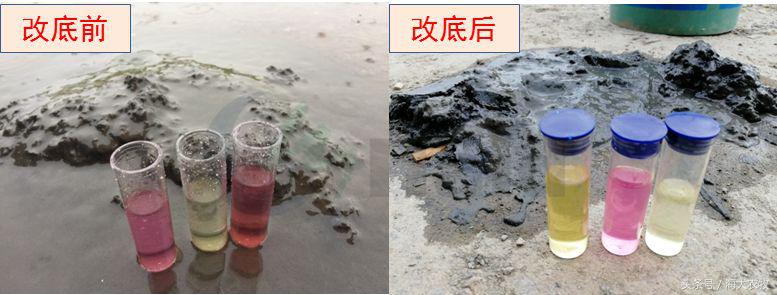 变天鱼起浮,变天鱼都浮水面怎么回事