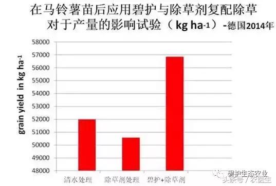 马铃薯机械种植中的除草问题,马铃薯除草的最佳方案