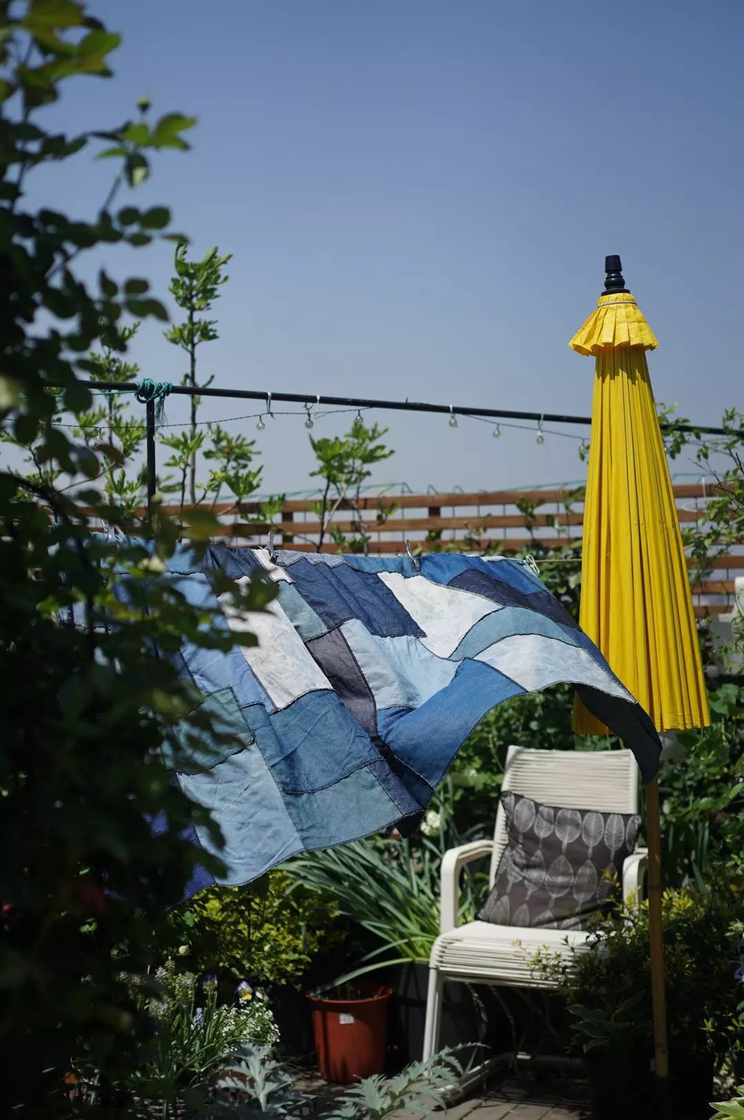 39岁，她不安分得很漂亮天台折腾两年，随后发出的照片，惊艳了所有人