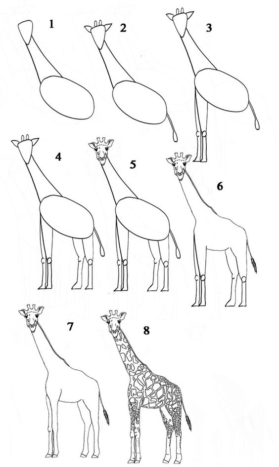 10000种超萌动物简笔画大全,简笔画动物教学视频大全