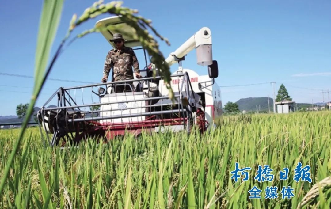 柯桥4月份出让地块,浙江绍兴柯桥区最新消息