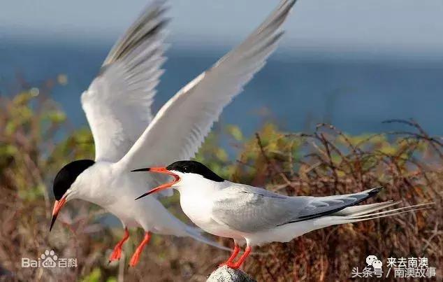 这座小岛究竟隐藏了多少秘密,一座鲜为人知的隐藏小岛