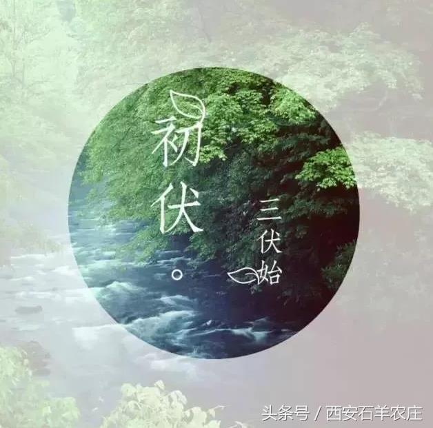 低温天气烧烤模式已开启,入伏第一天天气炎热关注防暑