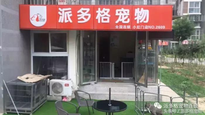 派多格宠物美容教程视频,派多格宠物用品有限公司