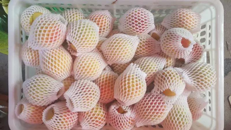 长寿山风景区美食,麻阳县长寿之乡