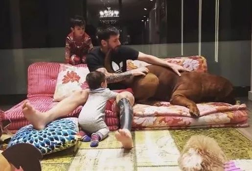 足球巨星豪宅前后对比,足球明星豪宅装修风格