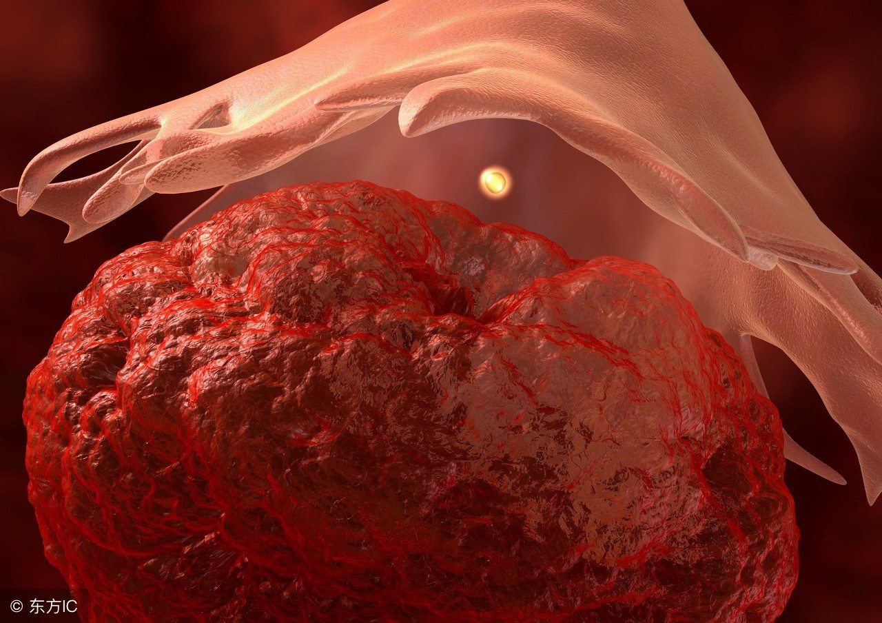 为什么会流产有几种原因,为什么流产完容易得妇科病