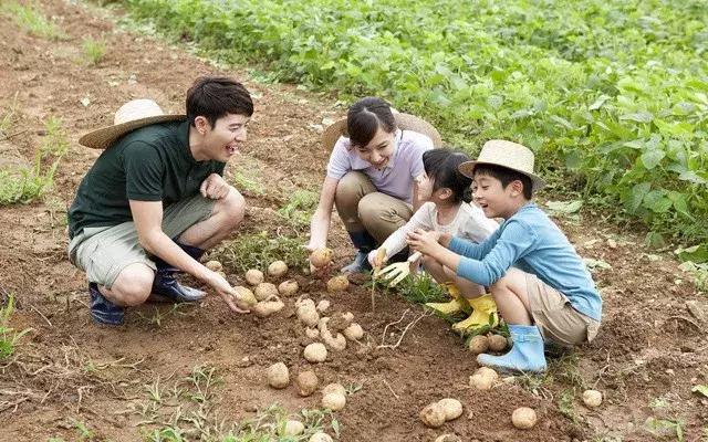 农业合作社免息贷款,农业合作社能享受无息贷款吗
