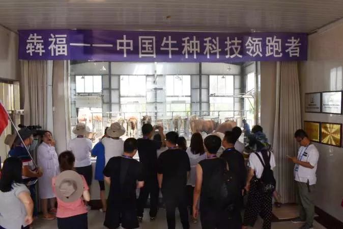 「V游延边」走进魅力龙井~品足球文化，赏大美风光，话全域旅游，牛！