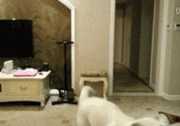 安徽天柱山门票免费,2022年天柱山安徽人免票时间