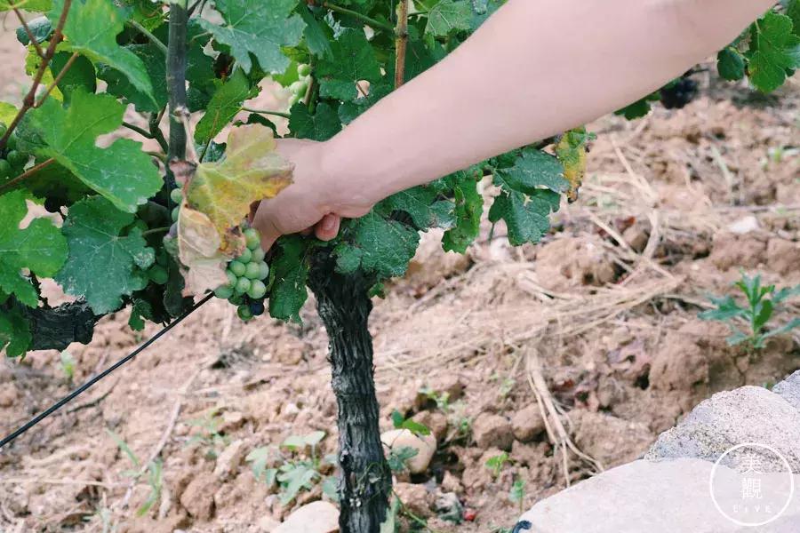 西安最时尚的地方不在小寨不在SKP，而在蓝田·普罗旺斯