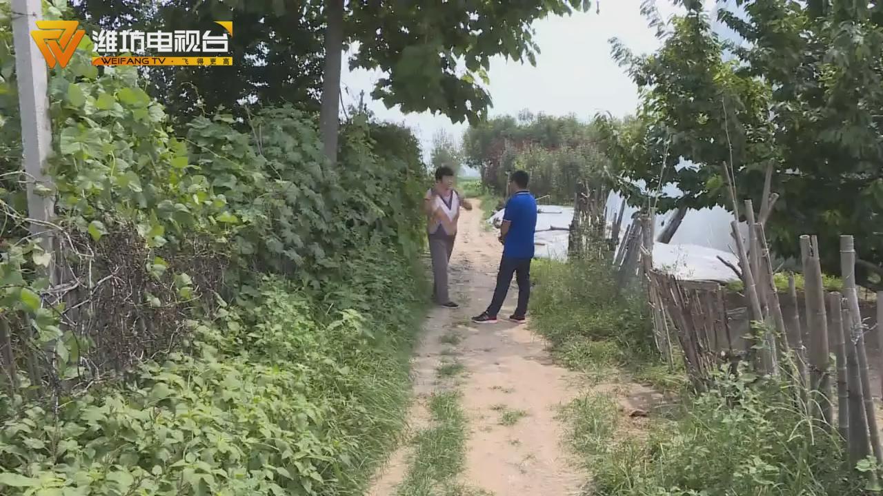 一道篱笆、两户人家、四人受伤、损失万元