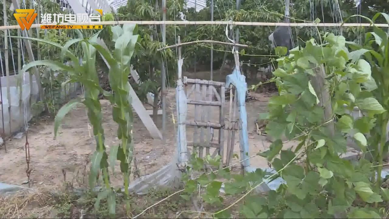 一道篱笆、两户人家、四人受伤、损失万元