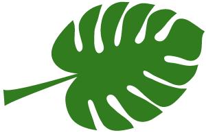 千年山中古村风景,千年香樟百年古村