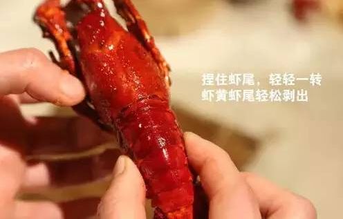 小龙虾夜宵美食最近最火爆的,小龙虾永恒之巅