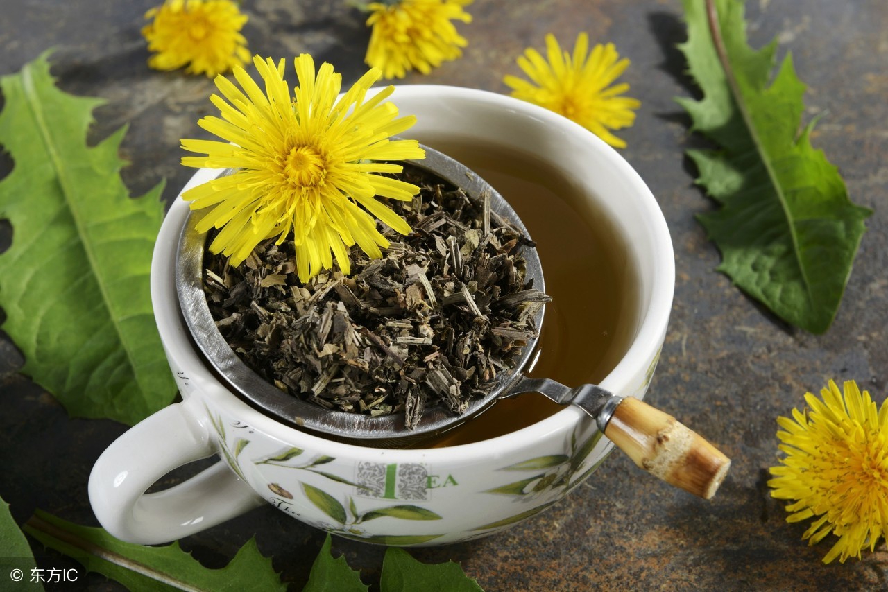 本草纲目蒲公英的验方,蒲公英的常见药方