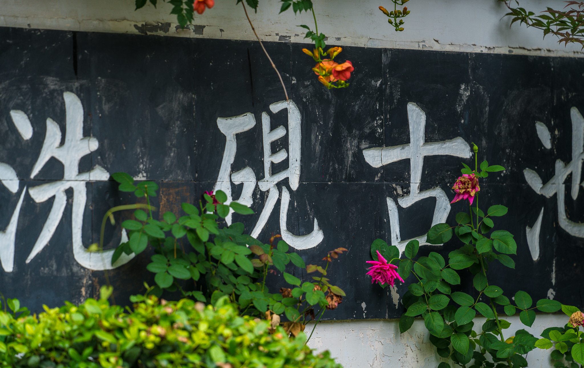 无锡夏日避暑胜地,无锡适合周末玩的公园