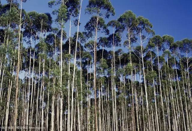 每晚6000000螨虫陪你睡？用它喷一喷，彻底除螨！