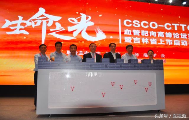 csco肿瘤高峰论坛,csco血管靶向