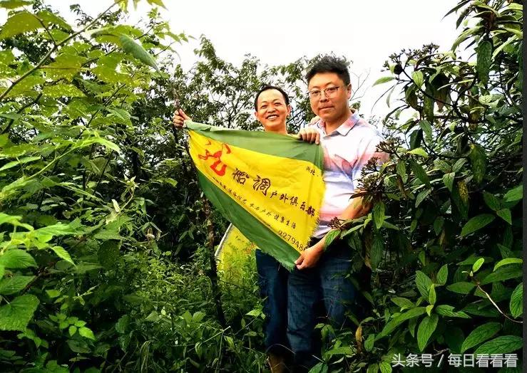 利川著名的油菜花田,利川花海在几月份