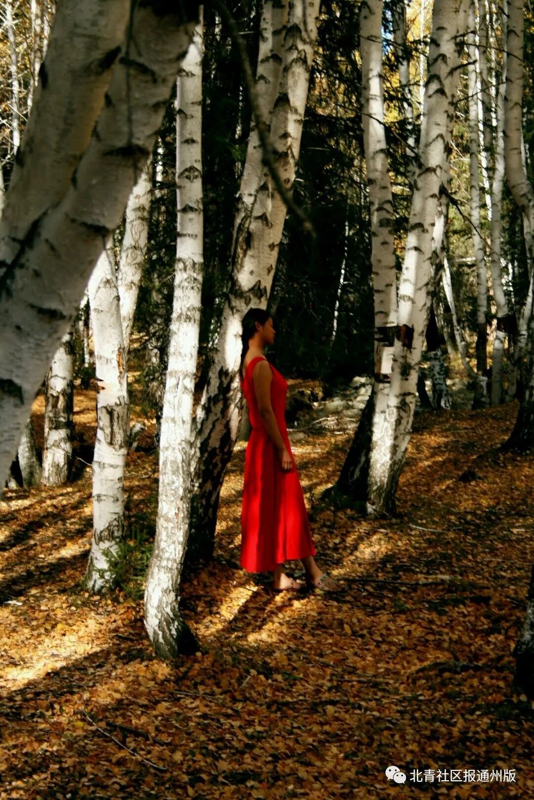 「深度」从艾滋病患者到互助平台领头人，生长在通州的白桦和他的“白桦林”