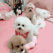 深圳医保待遇,深圳医保退休后待遇